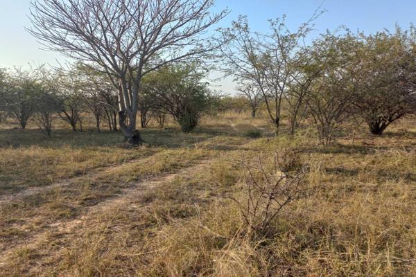 Unfenced vacant land of 10.4 hectares for sale in Toitskraal near Marble hall.
This land has no electricity, Water and no land claim on ...