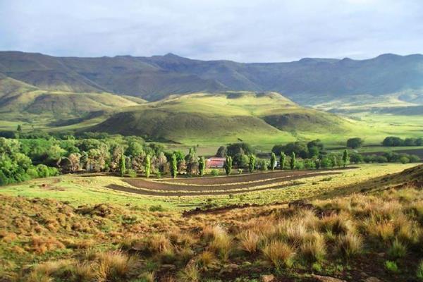 These magnificent cattle and sheep farms situated in the Barkley East area are a must to view !

One of the farms called Avoca is the ...