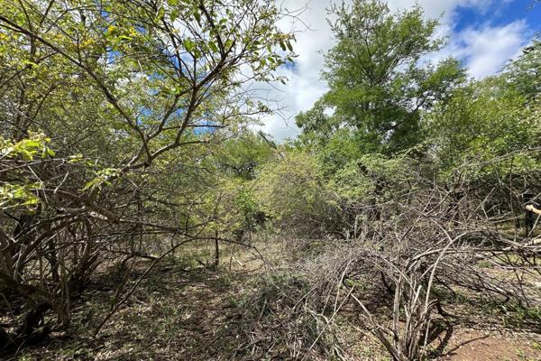 This generously sized,  prime piece of land is located in a established area in Marloth Park.
Enveloped in a tapestry of native bushes ...