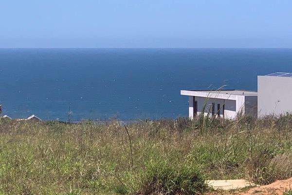 Zululami Luxury Coastal Estate, is a captivating haven steeped in culture and history. ...