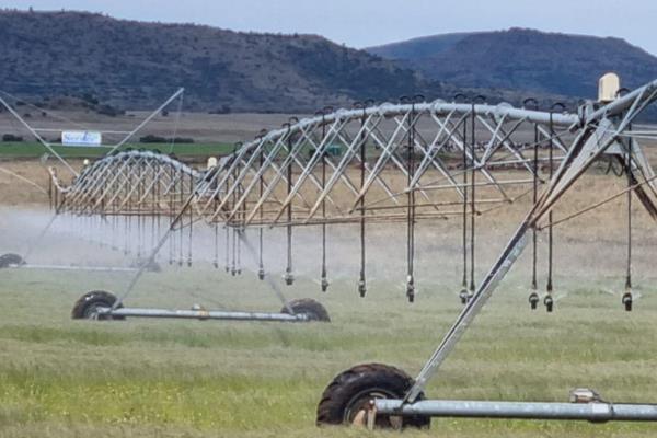 If you are looking for a highly productive irrigation farm on the Klipplaat River; this is it. This farm is suitable for beef, milk ...