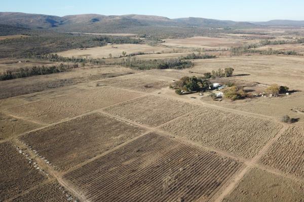 Nestled in the picturesque landscapes of Modimolle, this sprawling 109-hectare farm presents an extraordinary opportunity for those ...