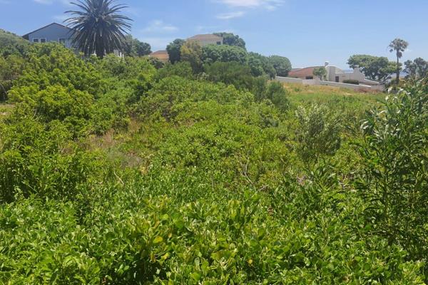 Unveil the potential of coastal living on this expansive 1101 m2 vacant stand in picturesque St Francis Bay. A canvas for your dream ...