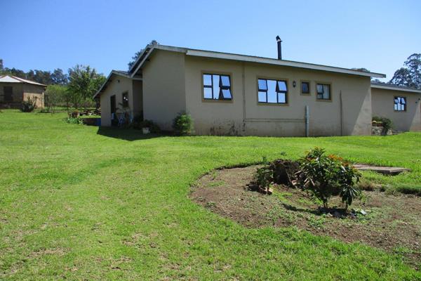 You will find this gem situated just off the Thornville to the N3 tar road.  Surrounded by other active small holdings.
There are ...