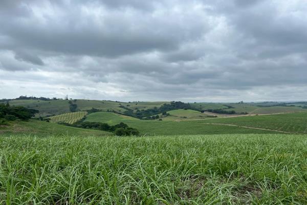 Situated just behind the vibrant town of Ballito, this 150-hectare farm stands as a testament to agricultural prosperity. Nestled in a ...