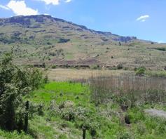 23.6 ha Smallholding for sale in Kamberg, T3295058