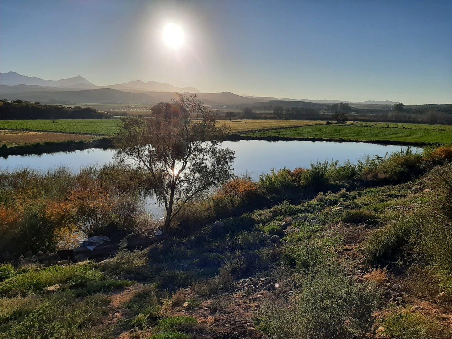 Klein Karoo Property Farm for sale in Klein Karoo