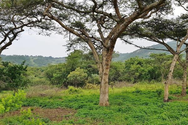 Low-density estate less than 10 minutes from Nelspruit?  

Build your dream home on this exclusive 15-hectare stand nestled within a ...