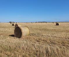 Farm for sale in Heidelberg Rural