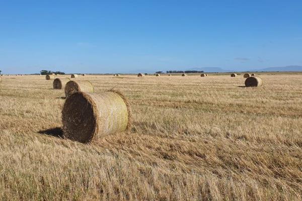 This type of 4.1 km river frontage farms are a rare find and does not come in the market regularly. About 90ha of arable dry land and ...