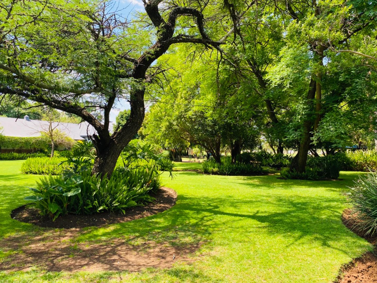 Theresapark Property Vacant land / plots for sale in Theresapark