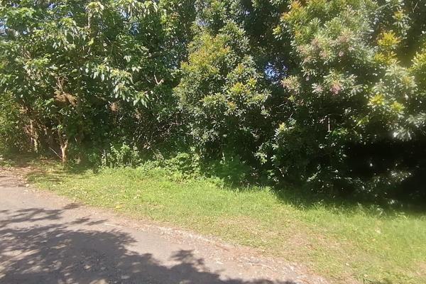 This sloped vacant land offers the perfect place to build your dream home on the South Coast. The property is registered and approved ...