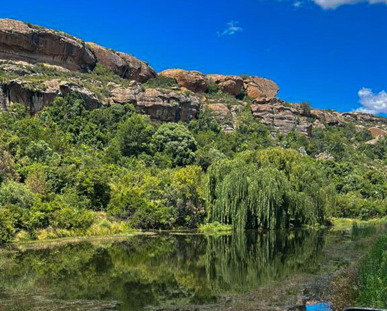 Farms for sale in Ladybrand : Ladybrand Property : Property24.com