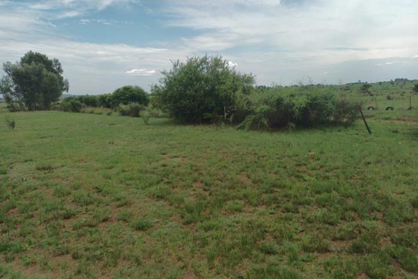 Investment opportunity !!!

2.2 ha vacant land for sale in mullerstuine .

Fencing road in and out as well as two gates that will ...