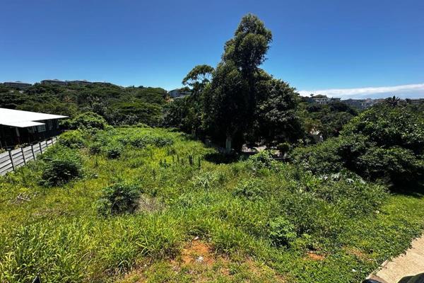 Prime land in the heart of ORIGINAL BALLITO , just a Short (400m) stroll away from the Main beach. This level, 1319 sqm corner plot ...