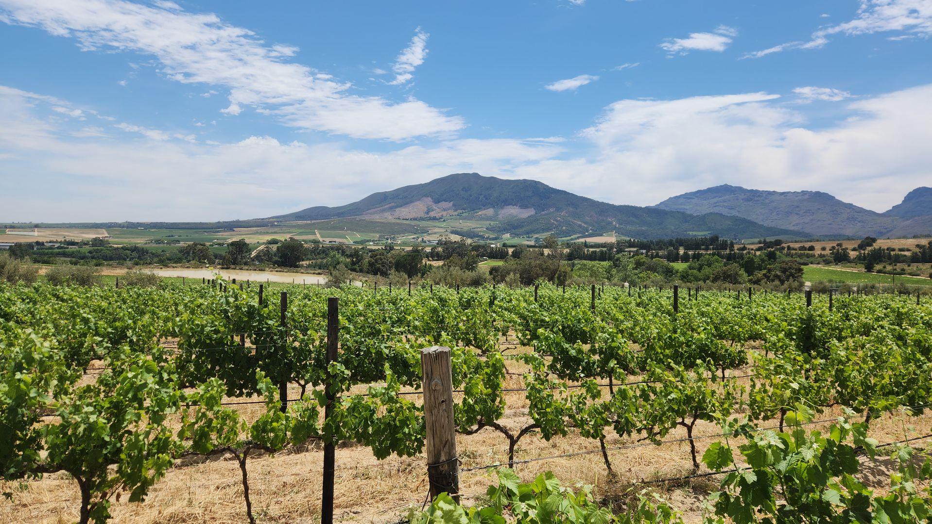 Farm for sale in Wellington North 2 Hawequas P24113735255