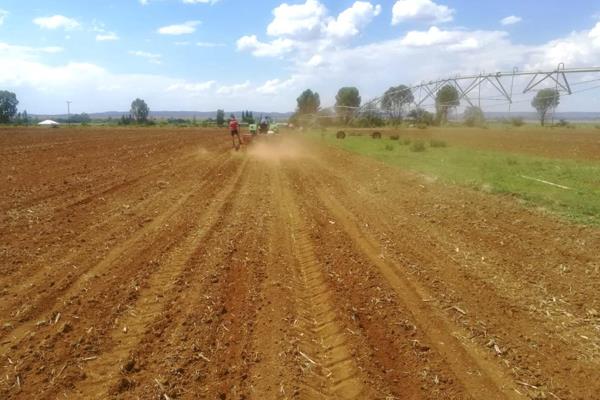 This is an opportunity to buy a productive and profitable small farm!
This irrigation farm has water rights for 21 ha as well as ...