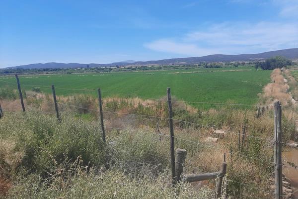 This farm borders on the Western side of Oudtshoorn.  309 Ha is under irrigation of which 240 ha is under lucern and the rest is under ...