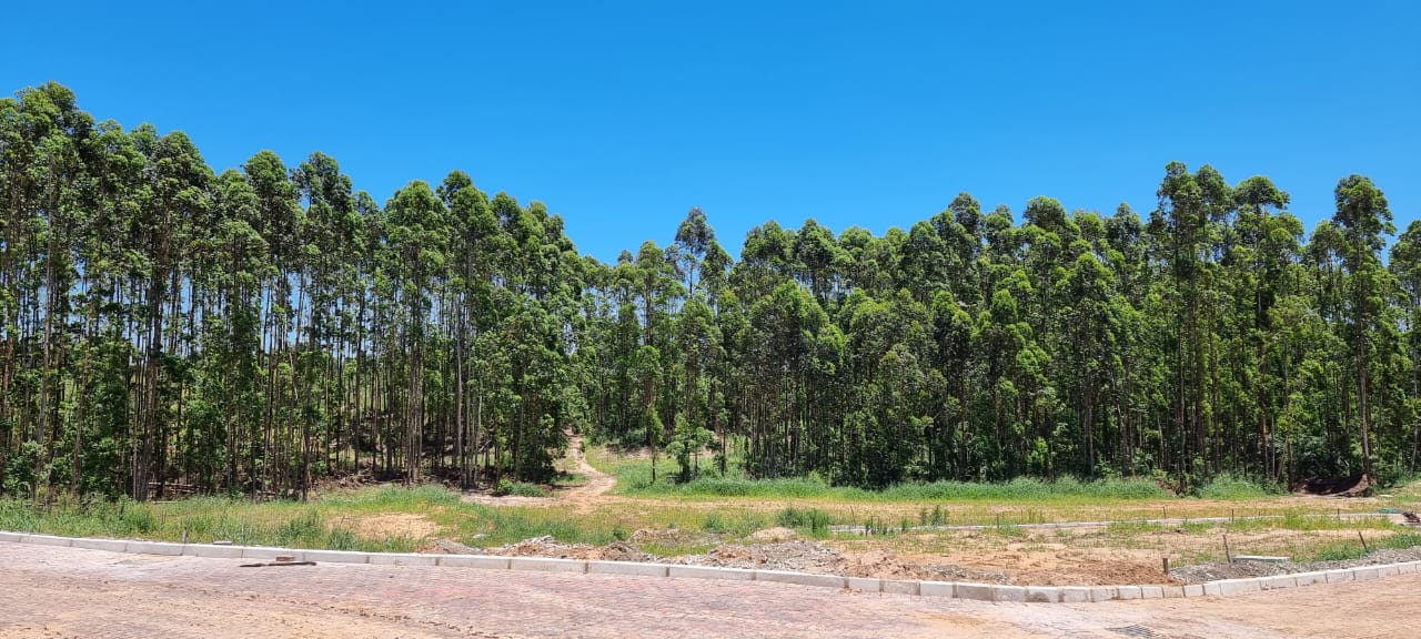 Vacant land / plot for sale in Elaleni Coastal Forest Estate P24