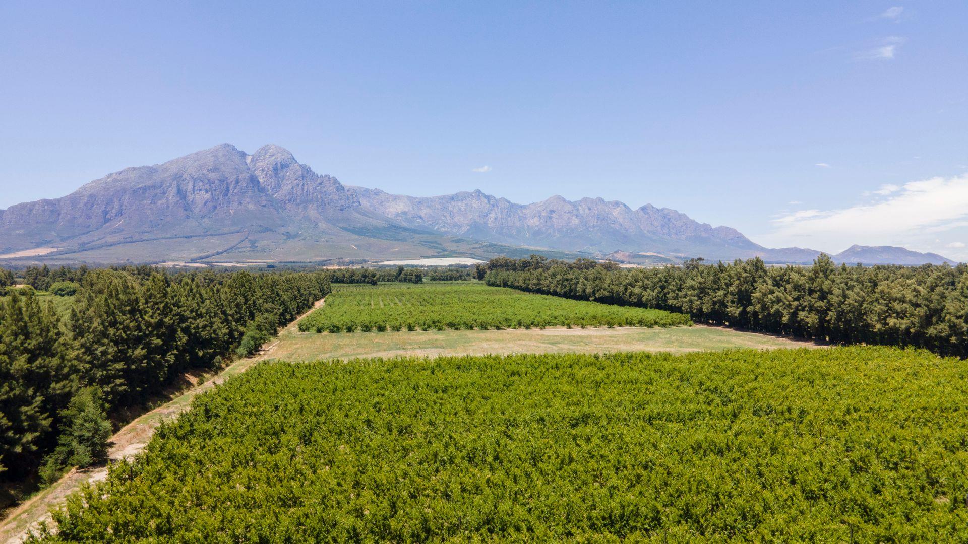 Cape Winelands Property Farm for sale in Cape Winelands Property24