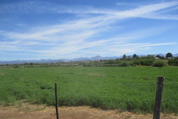 This +- 400 ha farm situated just outside Oudtshoorn on the road towards George.
309 ha under irrigation of which 204 ha under lucerne ...