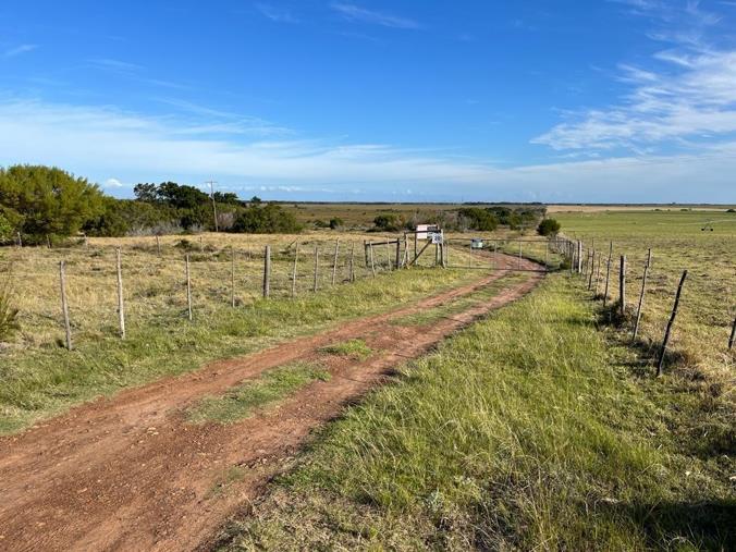 Farm for Sale in Humansdorp Rural