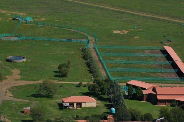 Beautiful well-maintained Cattle farm -  / Stud breeding / Cattle Auctions  /Maize farming
Major infrastructure: In - door Auction ...