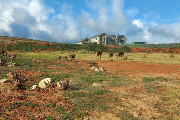 Outeniquesbosch is a Wildlife Village on 525ha, designed with a gentle touch to fit ...