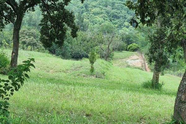 This land is nestled in the most beautiful valley of Tzaneen.

Build your dream house!

The farm has a soil dam and a borehole.
It ...