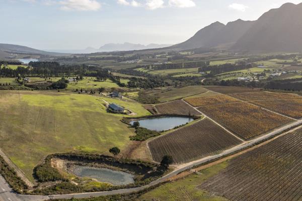 JOINT MANDATE
This magnificent property is set in the heart of the Hemel en Aarde ...