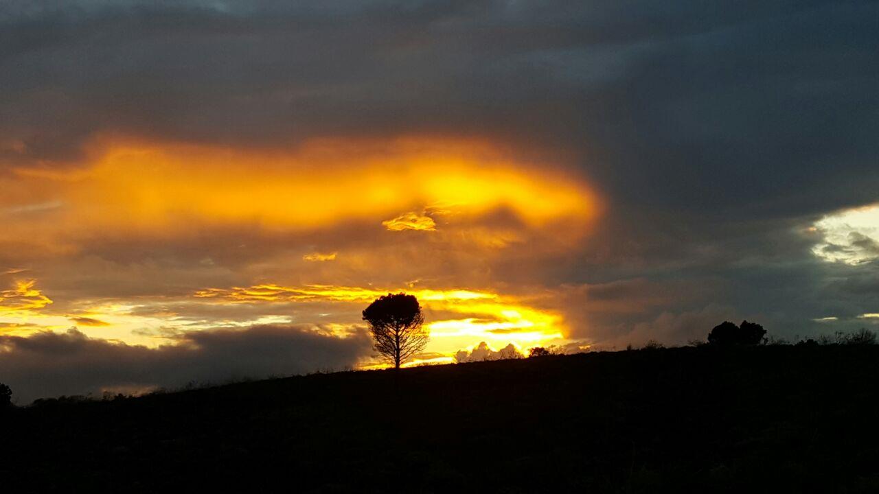 Property and houses to rent in Albertinia Albertinia Property