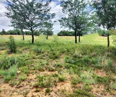 Vacant Land / Plot for sale in Excelsior