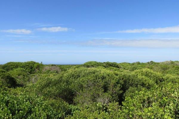 Very rare opportunity to obtain a large plot within the fynbos, close to the ocean.  We ...