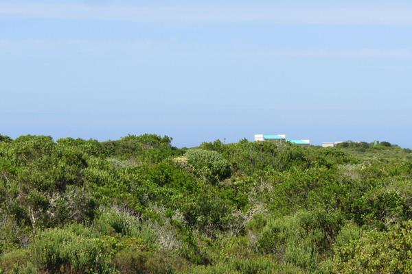 Very rare opportunity to obtain a large plot within the fynbos, close to the ocean.  We ...