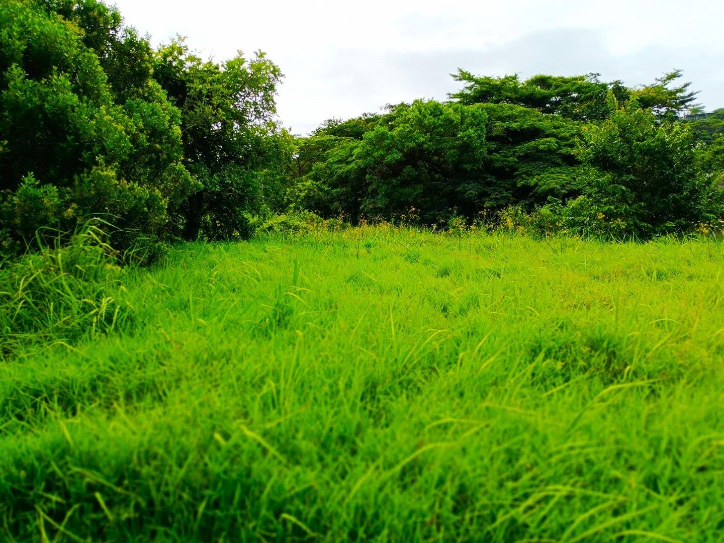 Vacant land / plot for sale in Zini River Estate P24113814999