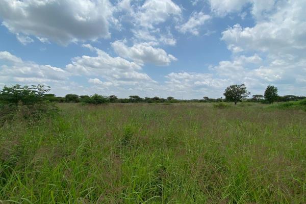 Situated in a new and upcoming township in Polokwane. These stands are conveniently close to town and surrounding amenities.  These ...