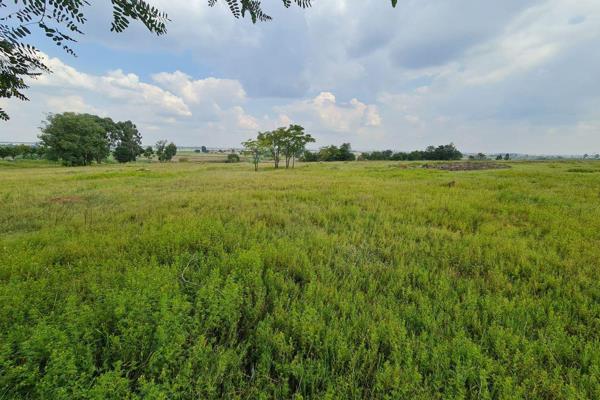 Large piece of semi-flat agricultural land available just off the bustling arterial linking Osborn Road. This land has excellent large ...