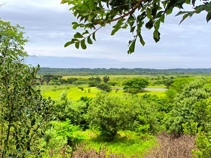 Vacant Land / Plot for Sale in Zini River Estate