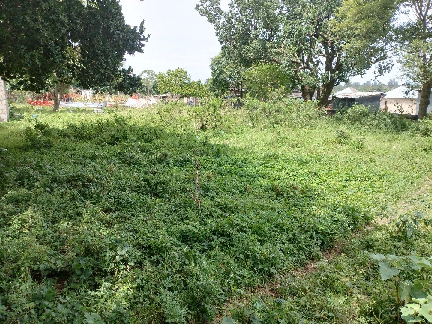 Vacant land / plot for sale in Richards Bay Rural Mandlanzini P24