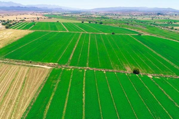 This excellent  irrigation/lucerne farm has some of the best irrigation land, water sources and infrastructure you can find. It is not ...