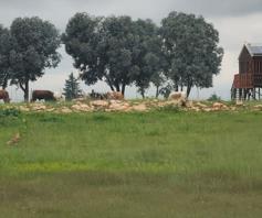 Farm for sale in Vaalbank