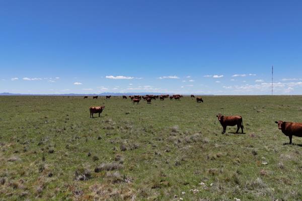 This very well laid out and neat Beef / Sheep farm is situated approximately 6 km (9km ...