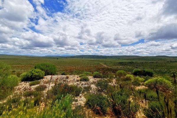 Excellent veld land available between Riversdale and Stilbaai.

The land has 4 different title deeds consisting of 7 camps. 4 of the ...