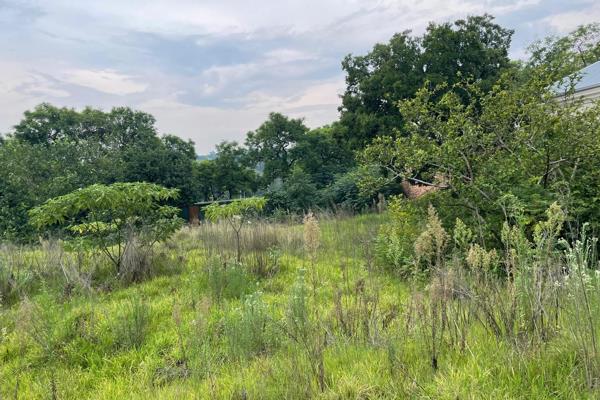 Vacant land 
1500 square meters ,walled ,
ready to build your dream home 
View today


Property Practitioner Registered with the ...