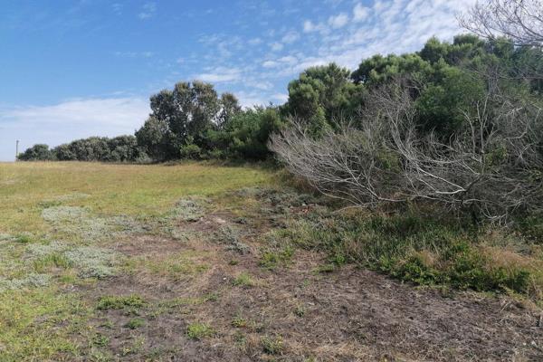 Grab the chance to own this prime business-zoned vacant land, situated in Paradise Beach. 

Very few properties have been allocated ...