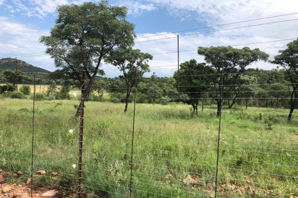 This magnificent Game farm of 622 Ha.is for sale.
The game farm consist  with very neat infrastructure with a beautiful house with a ...