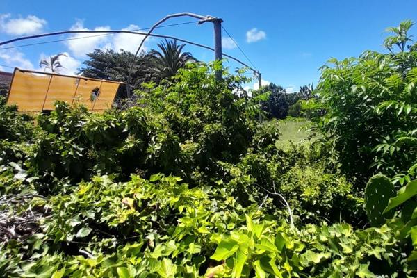 Walled on the sides this stand opens up onto nature.
Hear and feed the birds
Quiet street with easy access to mall and main roads

For ...