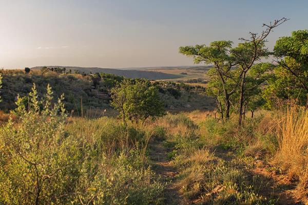 28HA - Selling now!
Nature on your doorstep.
28,265 ha land available in the popular Rietfontein Area near Rayton.
Ideal for the ...