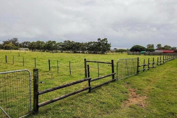 It is ideally situated with access to Cape Road.  

21 Hectares of grazing pasture camps in Rendallton, St. Albans.

It is divided into ...