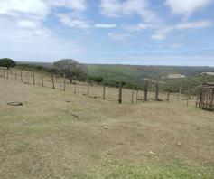 Farm for sale in Uitenhage Rural